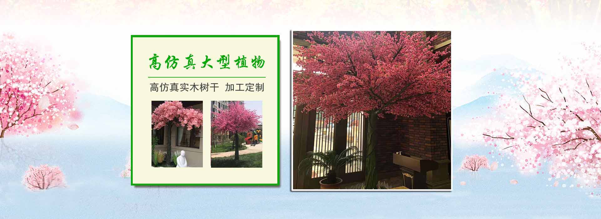 1 重慶監控公司